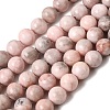 Natural Zebra Jasper Round Bead Strands X-G-E334-8mm-11-2