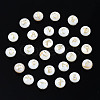 Natural Freshwater Shell Beads SHEL-S278-036-2