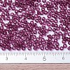 MIYUKI Round Rocailles Beads X-SEED-G007-RR1312-4
