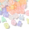 Luminous Transparent Acrylic European Beads OACR-D038-01-2