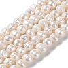 Natural Cultured Freshwater Pearl Beads Strands PEAR-E018-01-1