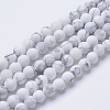 Natural Howlite Beads Strands G-T055-4mm-02-1