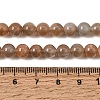Natural Grey Moonstone Beads Strands G-F632-24-02-01-9