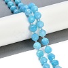 Natural Amazonite Beads Strands G-G182-B10-05-2