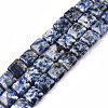 Natural Blue Spot Jasper Beads Strands G-N326-140G-1