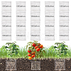 Stainless Steel Mesh Bag Plant Protection Insect Proof Mesh Bag AJEW-WH0410-71-1