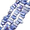 Natural Freshwater Shell Beads Strands X-SHEL-N026-123G-1