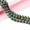 Natural Chrysocolla Beads Strands G-I318-09C-2