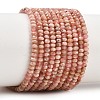 Natural Argentina Rhodonite Beads Strands G-B175-A18-2x3mm-2