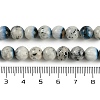 Natural Blue Ice Glacierite Stone Beads Strands G-H062-A04-02-5