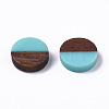 Resin & Wood Cabochons X-RESI-S358-70-H11-2