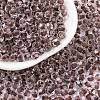 Glass Seed Beads SEED-A032-05B-1