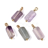 Natural Fluorite Pendants GG-N004-01G-03-1