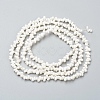 Natural Spiral Shell Beads Strands X-BSHE-I011-11C-2