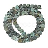 Natural African Turquoise(Jasper) Beads Strands G-A272-A01-06-4
