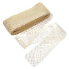 Polyester Ribbons SRIB-WH0011-228A-1