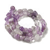 Natural Amethyst Beads Strands G-B078-D12-01-3