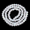 Imitate Austrian Crystal Bicone Frosted Glass Beads Strands GLAA-F029-TM3mm-A13-2