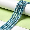 Natural Gemstone Beads Strands G-F730-04A-2