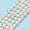 Natural Cultured Freshwater Pearl Beads Strands PEAR-J006-03A-2