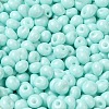 6/0 Opaque Baking Paint Glass Seed Beads SEED-M012-02A-04-3