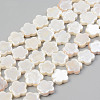 Electroplate Natural Freshwater Shell Beads Strands SHEL-T017-08-1