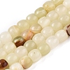 Dyed Natural White Jade Beads Strands G-T138-210B-4