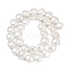Electroplated Shell Pearl Beads Strands BSHE-G027-13B-3