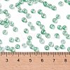6/0 Glass Seed Beads X-SEED-A015-4mm-2218-4