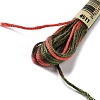 10 Skeins 6-Ply Polyester Embroidery Floss OCOR-K006-A12-2