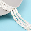 Electroplated Shell Pearl Beads Strands BSHE-C007-C01-01-2