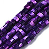 Natural Trochus Shell Beads Strands SHEL-S278-027-5