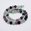 Natural Rainbow Fluorite Bead Strands G-P255-01-8mm-3