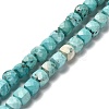Dyed Natural Howlite Beads Strands G-H078-C28-01-1