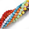 Natural Freshwater Shell Beads Strands SHEL-N003-24-6