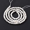 Natural Howlite Beads Strands G-H273-02B-4