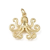 Brass Pendants KK-L276-04G-1