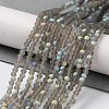 Imitation Jade Glass Beads Strands LS-EGLA-A034-T2mm-MB16-2