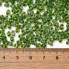 Spray Painted Glass Seed Beads SEED-F005-07A-02-4