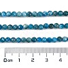 Natural Apatite Beads Strands G-C127-A01-01-4