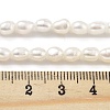 Natural Keshi Pearl Cultured Freshwater Pearl Beads Strands PEAR-P062-25D-5