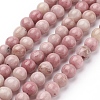 Natural Rhodonite Beads Strands X-G-G099-8mm-33-1