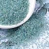 MIYUKI Round Rocailles Beads SEED-G007-RR0263-1