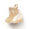 Baroque Natural Trochus Shell Pendants PEAR-P004-51KCG-2