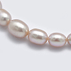 Natural Cultured Freshwater PearlBeads Strands PEAR-K003-21B-3