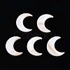 Natural Freshwater Shell Cabochons SHEL-S267-04B-1