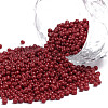 11/0 FGB Grade A Baking Paint Glass Seed Beads X-SEED-N001-A-1060-1