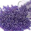 TOHO 8/0 Round Beads X-SEED-TR08-0252-1