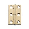 Brass Hinge CABI-PW0001-163-A01-1
