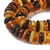 Natural Amber Beads Strands G-K387-C01-02-3